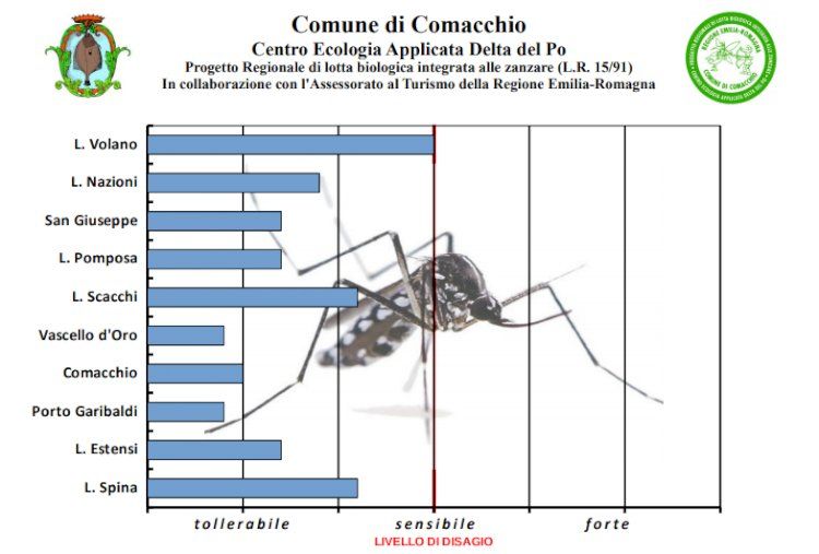 Zanzare, come vengono monitorate a Comacchio (FE)