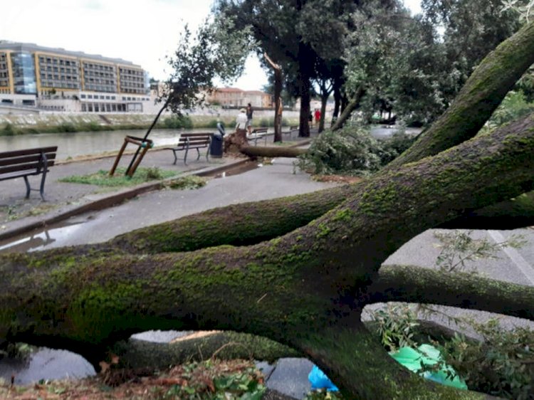 Veneto: Verona,Vicenza e Padova devastate da nubifragio, Zaia firma Stato di Crisi
