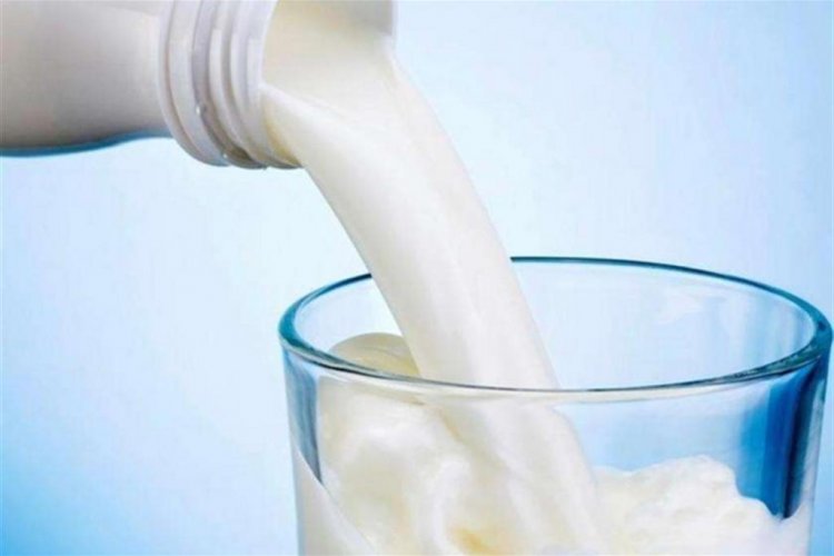 Coldiretti: balzo di quasi il 13% per il prezzo del latte