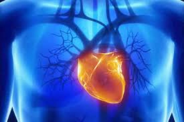 Covid-2, monitorare il rischio cardiaco per evitare morti