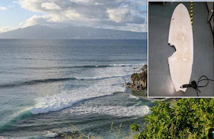 Morso da uno squalo, surfista di 56 anni muore.