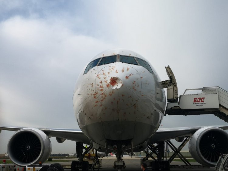 Atterraggio emergenza all’aeroporto internazionale Atatürk: aereo fa bird strike