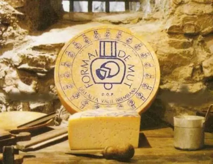 Presenza di Listeria, Ministero della salute annuncia richiamo di formaggio