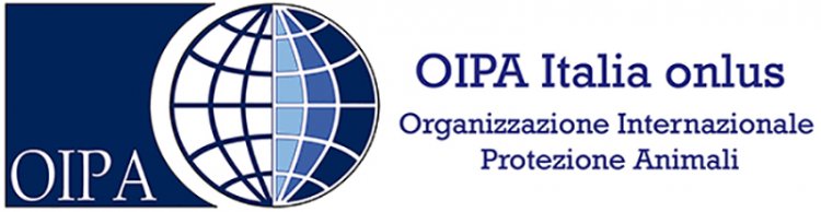 Oipa International, sui bovini bloccati risponde la Commissione UE