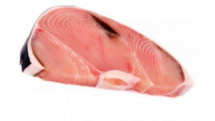 Nel pesce c'è il mercurio”: Ministero salute ritira tranci smeriglio Mako congelato