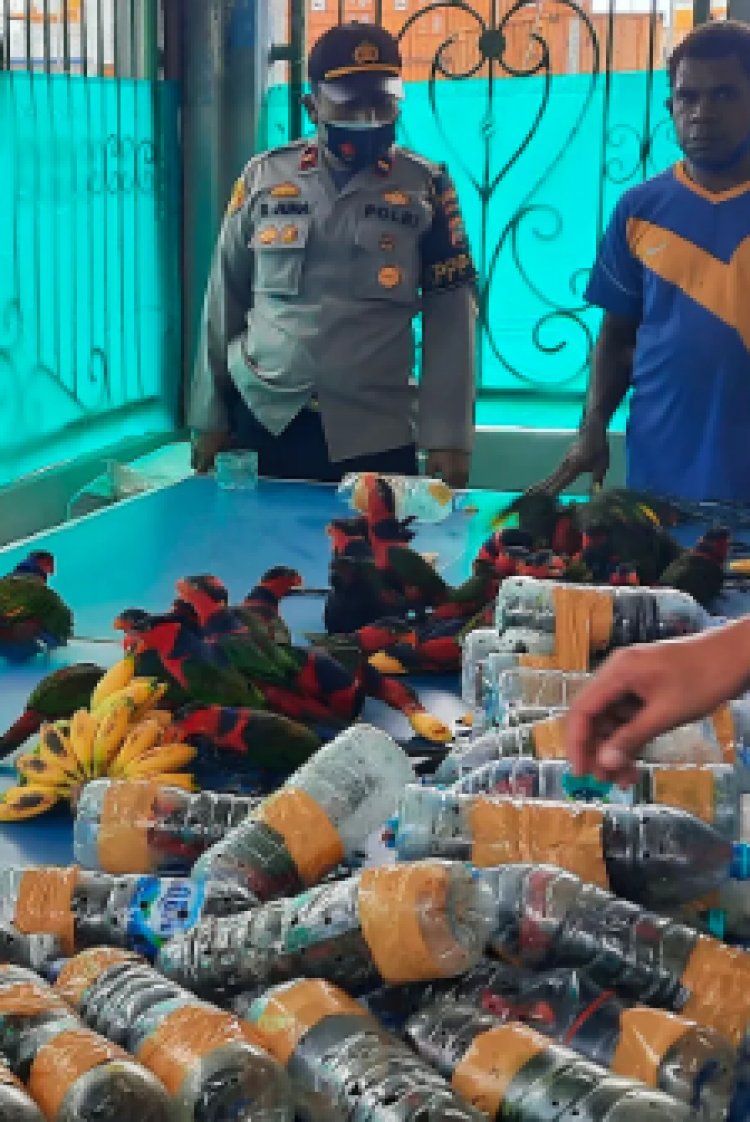 Orrore: pappagalli vivi contrabbandati in bottiglie di plastica