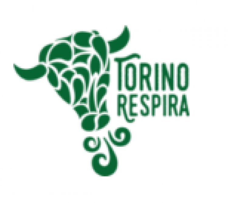 Comitato Torino Respira e la campagna di rilevamento del biossido d'azoto