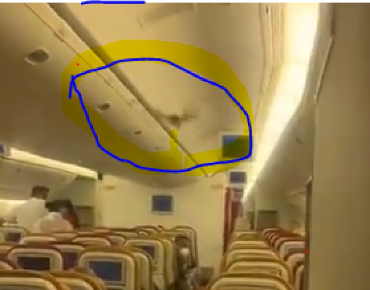India, paura in volo, spunta un pipistrello a bordo: panico tra i passeggeri