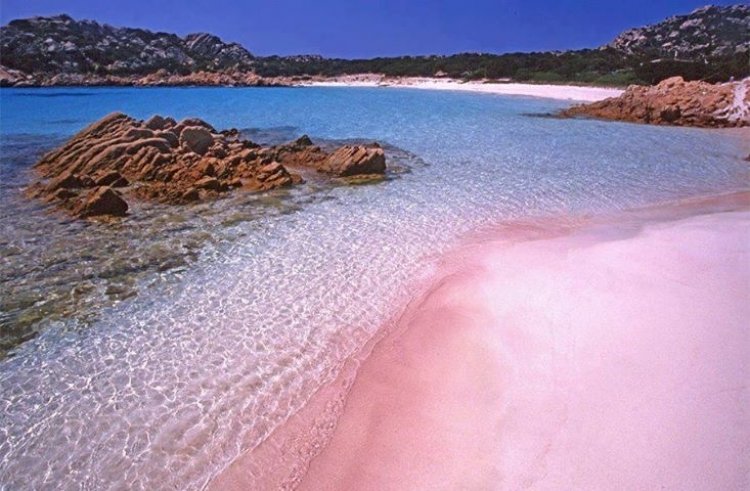 La famosa spiaggia rosa di Budelli in Sardegna è ora video-sorvegliata