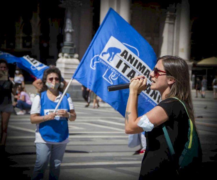 Humanitas di Catania smentiti i licenziamenti